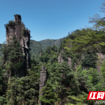 宜章县莽山：春暖将军寨 风光无限美