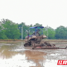 组图 | 资兴市唐洞街道：谷雨时节插秧忙