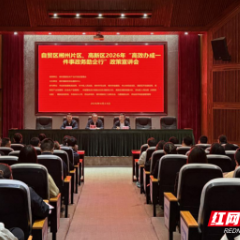 自贸区郴州片区、高新区举办“高效办成一件事，政务助企行”政策宣讲活动