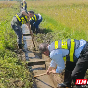 安仁县洋际乡民兵队伍开展春耕助农行动