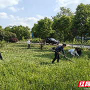 嘉禾县塘村镇：文明实践暖人心 环境整治显实效