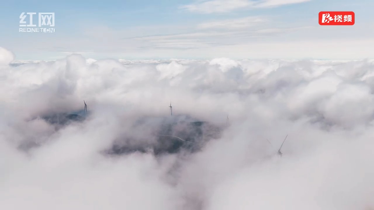 桂阳县：杜鹃花开映云海