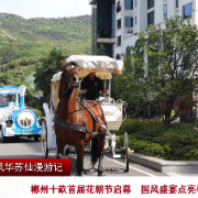 风华苏仙漫游记 | 郴州十畝首届花朝节启幕 国风盛宴点亮春日文旅