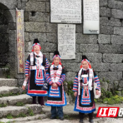 桂阳县：杜鹃花开映云海招摇山上春意浓