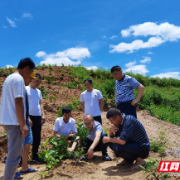 资兴市：四十年深耕移民培训 托起库区“稳稳的幸福”