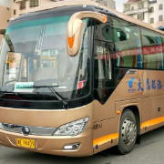 不用打车！郴州“五一”免费旅游公交来了