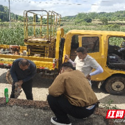 嘉禾县塘村镇：路灯维修 点亮乡村平安路