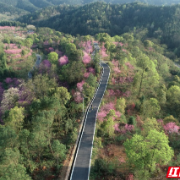 组图 | 安仁县大石林场：生态氧吧路 醉美入画来
