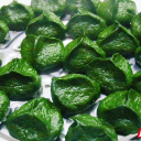 藏在艾香间的桂东春味