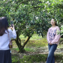 宜章县:脐橙花开春光美