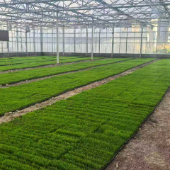 安仁县：智慧农业稳粮仓