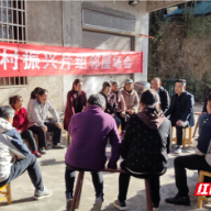 郴州联通：数智赋能担使命 乡村振兴绘新篇