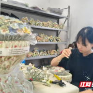 桂阳县：陶瓷新品走红市场 赋能乡村振兴
