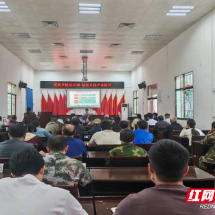 桂东县清泉镇：科技赋能茶产业 指尖茶香促增收