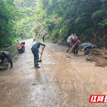 桂东县沙田镇:风雨坚守护平安 清障通畅暖民心