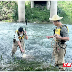 郴州市对国省控断面开展春季水生态调查监测