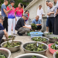 资兴市：深耕全域党群服务阵地 激活基层治理新动能
