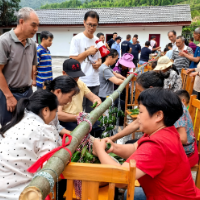 资兴市远和村：趣味端午“粽”动员  邻里竞技聚民心