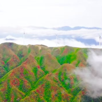 诗词 | 白水仙山组诗
