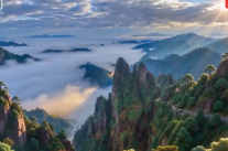 AI文旅丨逃离喧嚣，奔赴云端山海，一起去莽山打卡！