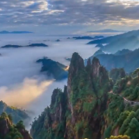 AI文旅丨逃离喧嚣，奔赴云端山海，一起去莽山打卡！