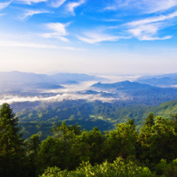 汝城县：七十年青山不负 绿满湘南润泽一方