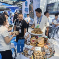 郴托携手赴盛会 援疆赋能拓丝路——托克逊14家企业亮相第九届亚欧博览会