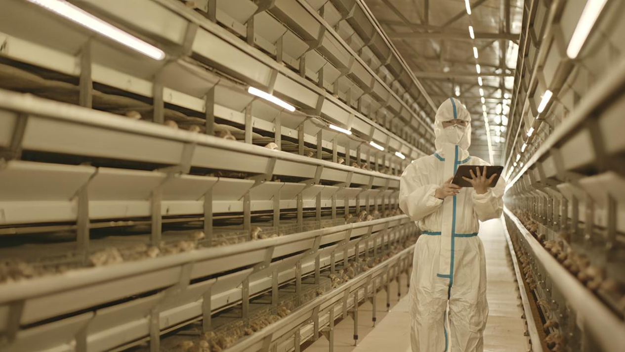 图片4.png 图片4.png