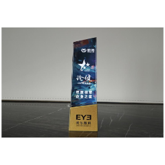 以数智融合赋能眼健康,爱尔眼科荣获2025年度论健·年度星榜“年度领军企业之星”奖