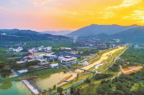 广东实现从“绿量”到“绿质”新飞跃