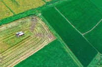 2025年度三农人物成杭新：为大地做“体检”的人