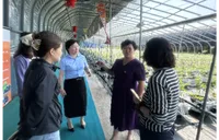 “十四五”答卷丨中国人寿涉农人身保险每年覆盖超2.7亿人次农村人口