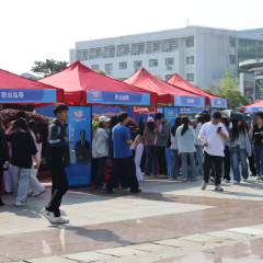 这场招聘会，测出了岳阳的“人才引力值”