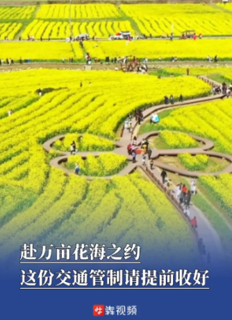 赴万亩花海之约！这份交通管制请提前收好