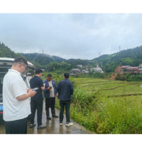 中华财险安化县支公司:科技赋能早稻保险精准承保