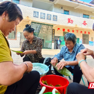 桂阳县洋市镇:粽叶飘香迎端午 党群连心一家亲