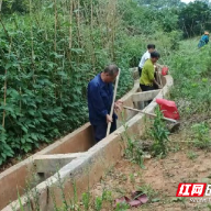 嘉禾县袁家镇:疏通水渠 筑牢良田丰产“生命线”