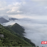 散文 | 若有缘，你来，云雾将你缠绕