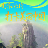 全国首批！郴州莽山国家森林公园入选“美丽中国打卡点”