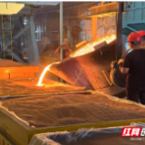 嘉禾县：数智转型  让老产业焕发新活力