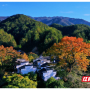 西靖书院记