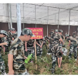 北湖实验学校常态化推进劳动习惯养成教育的实践与探索