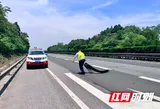 常态清障保畅通 坚守一线护平安 ——长沙广福管理所全力整治高速路面抛洒隐患