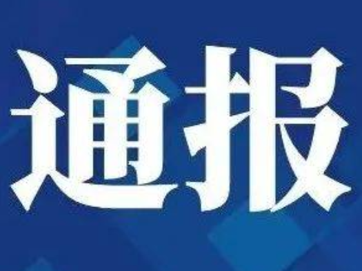 关于全省政府采购领域违法违规典型案例的通报