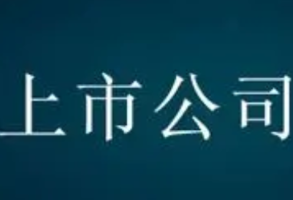 上市公司再融资更加便利快捷