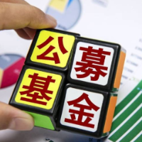 公募出海再迎政策利好 全球化布局驶入深水区