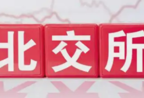 三十余份半年报“交卷” 北交所企业成长活力凸显
