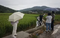 中华财险临武县支公司快速查勘水稻病虫害 护航粮食生产