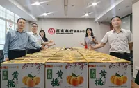 招商银行娄底分行：爱心助力乡村振兴 破解黄桃销路难题