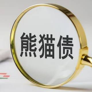 中国央行:支持更多境外机构参与熊猫债发行